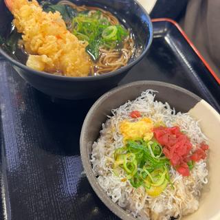 天ぷらそば＋しらす丼(みくりや亭)