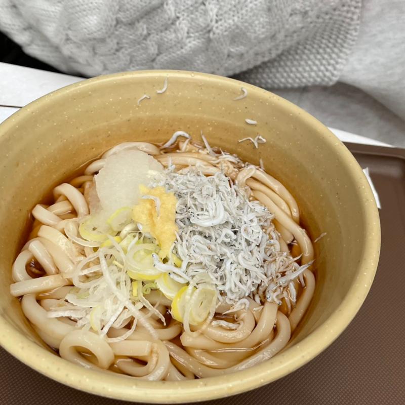 しらすおろしのぶっかけうどん(ジャパングルメポート japan gourmet port)