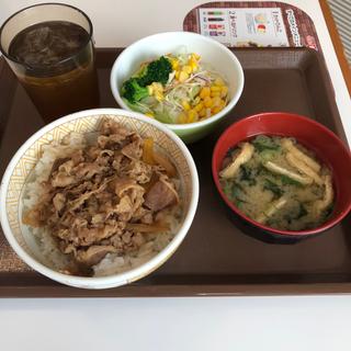 牛丼ランチ(すき家 塩尻志学館高校前店 )