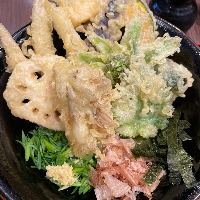 野菜天ぶっかけ(豊前裏打会 萬田うどん)