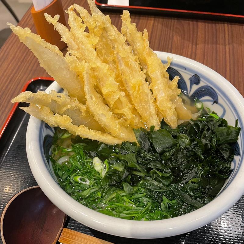 ごぼう天わかめうどん(豊前裏打会 萬田うどん)