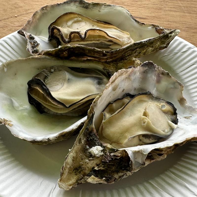 焼きカキ(蔵本通り)