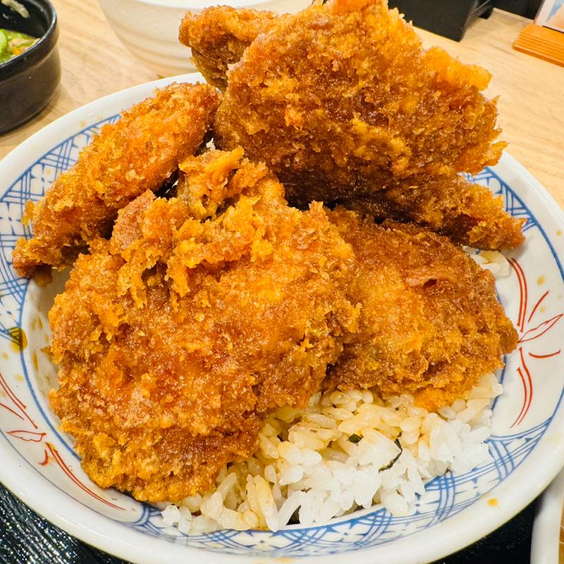 ソースカツ丼野郎もり(野郎めし 太田50号バイパス店)