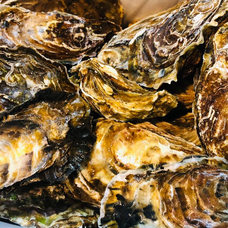 佐呂間湖産牡蠣(オホーツク湧鮮館)