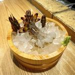 踊る車海老(和食＆イタリアン居酒屋 中目黒 魚の花)