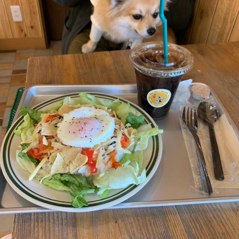 タコライス(1 Life Cafe(ワンライフカフェ）)