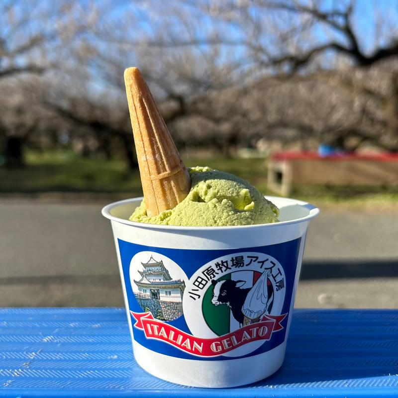 足柄茶(小田原牧場アイス工房)