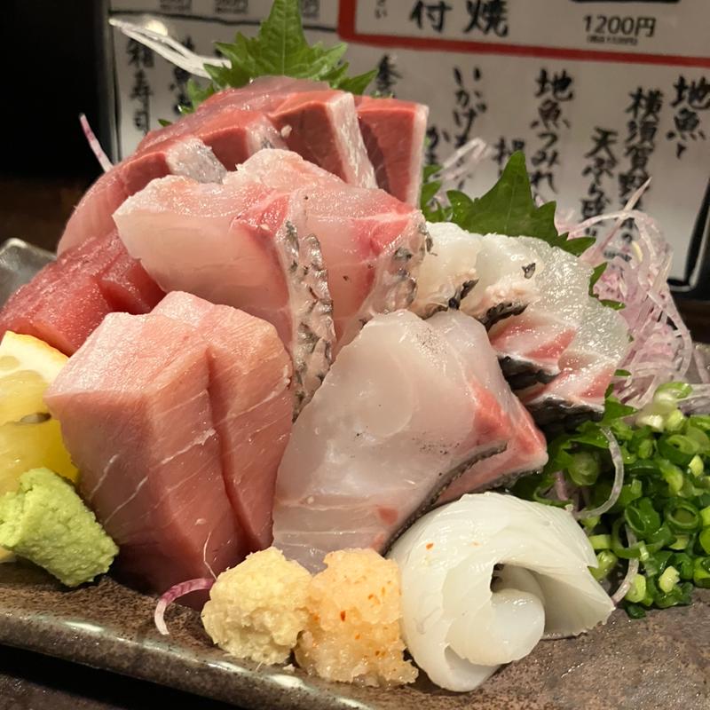 刺盛(ウミネコ)