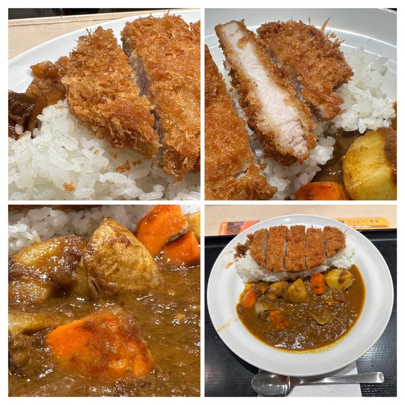 野菜ロース欧風カレー・マイルド(松のや 大和店)