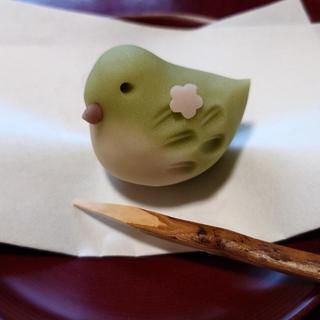 上生菓子練り切り鶯(お菓子のくわざわ )