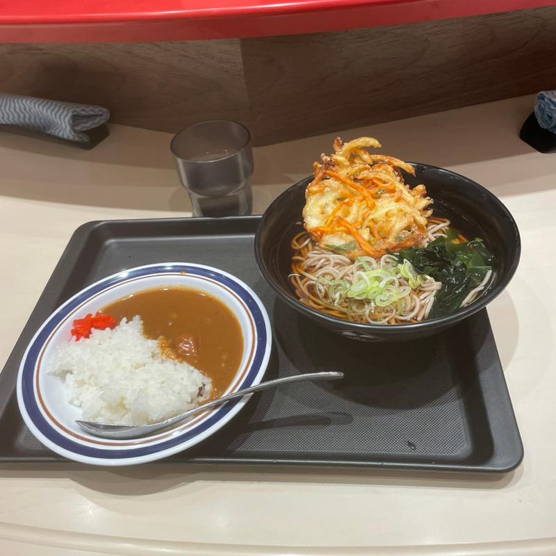 天ぷらそばミニカレーセット(名代 富士そば 本厚木店)