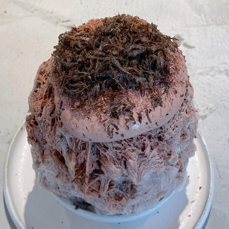 アマゾンカカオと黒トリュフ(あずきとこおり)