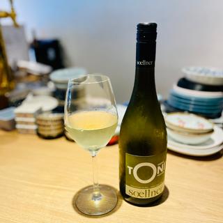 ナチュラルワイン　TONI(O'denbar うまみ 代官山)