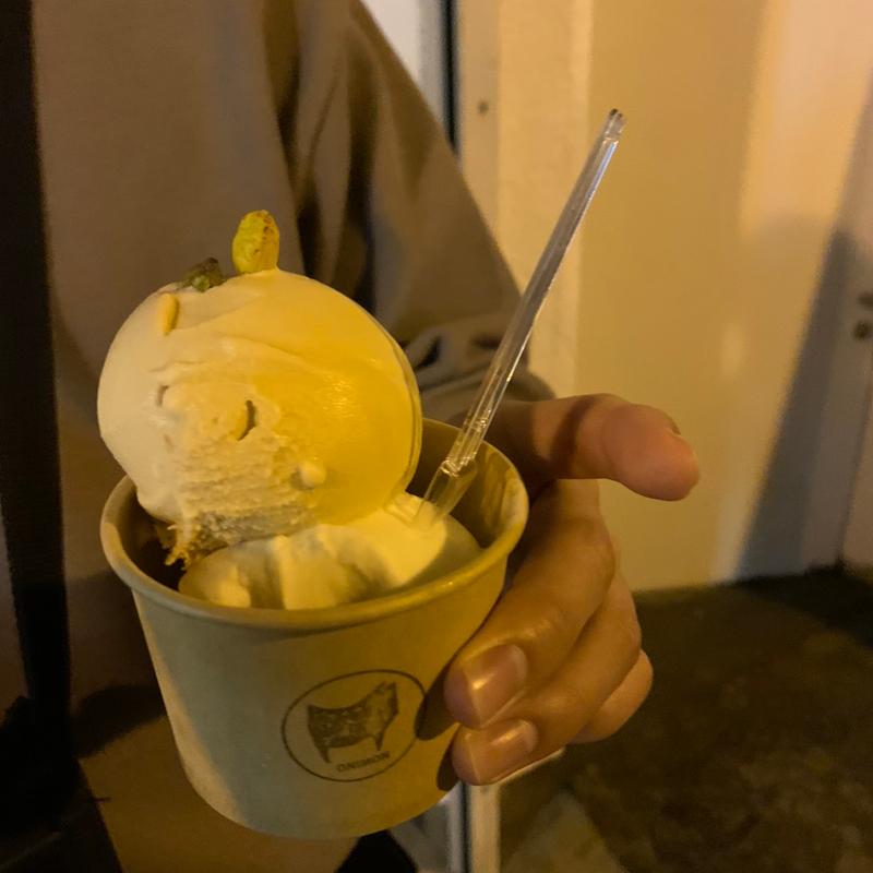 ラムレーズン　ピスタチオ(オニモンアイス/ONIMON ICECREAM)