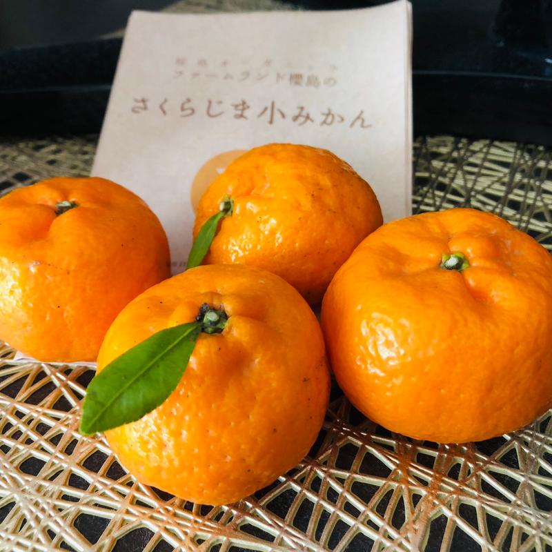 さくらじま小みかん(Cafeしらはま )