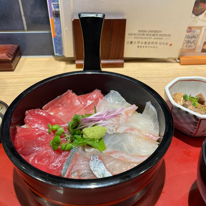 近大紅白手桶寿司(近畿大学水産研究所はなれ)