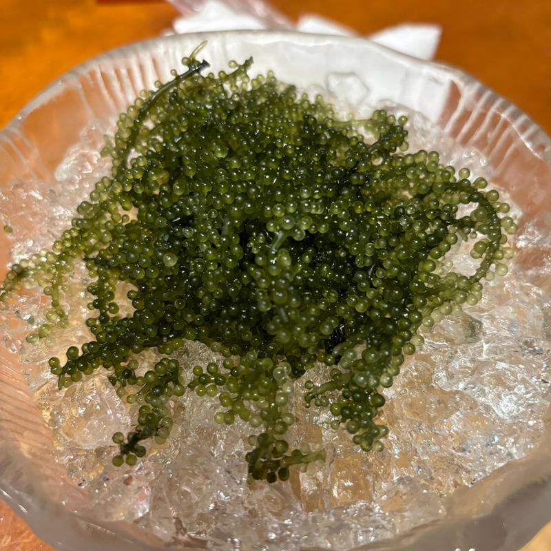 海ぶどう(舟蔵の里 （ふなくらのさと）)