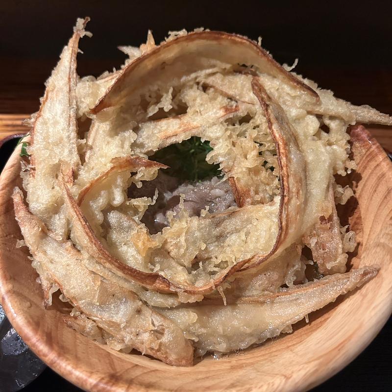 肉ごぼう天うどん(大地のうどん　博多駅ちかてん)