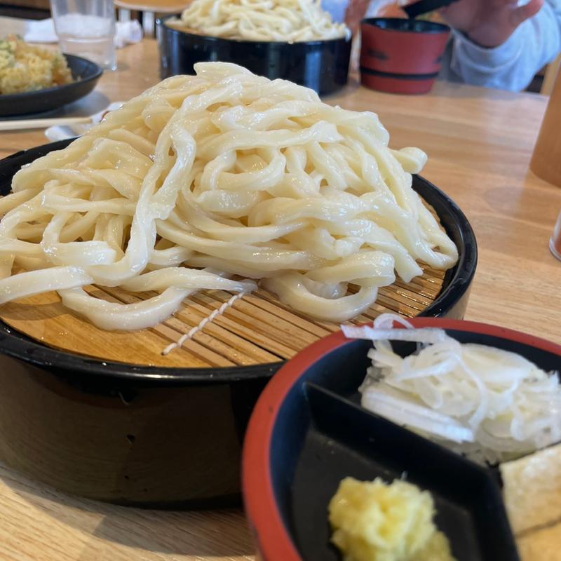 つけ汁うどん(手打うどん 粉家)