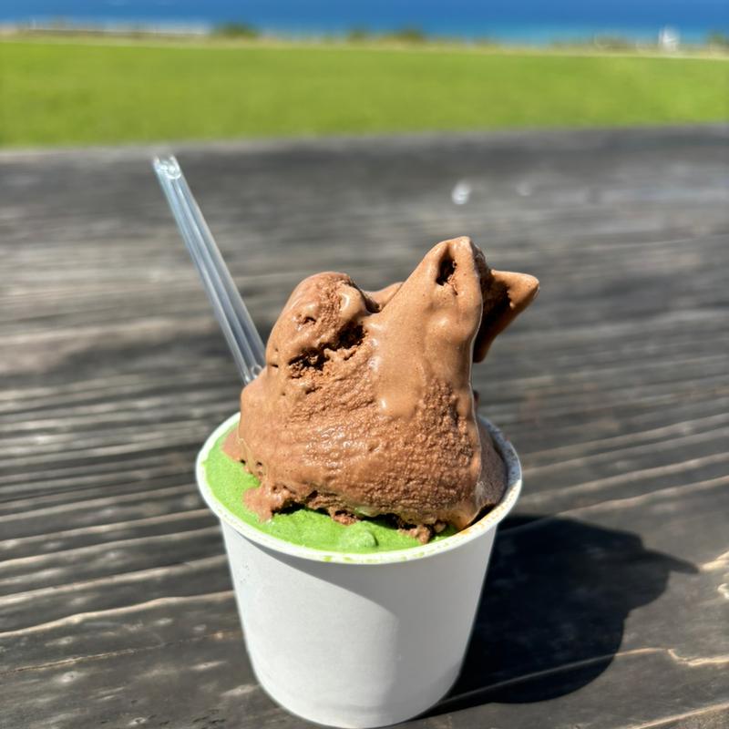 ジェラートチョコココアとユーグレナ(ミルミル本舗 本店)