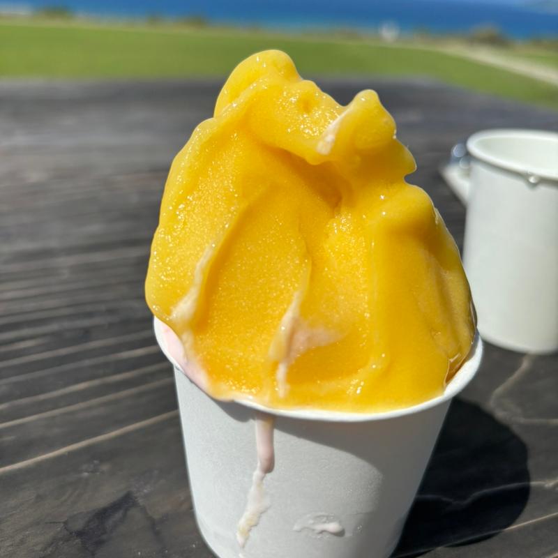 ジェラートマンゴーとピパーチ(ミルミル本舗 本店)