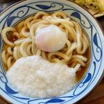 とろ玉うどん(丸亀製麺 加治木店 )