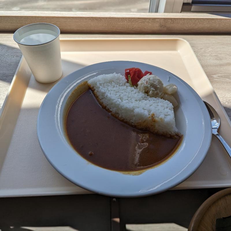 ダムカレー大(黒部ダムレストハウス 売店)