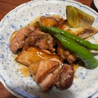 焼き鳥(利庵)