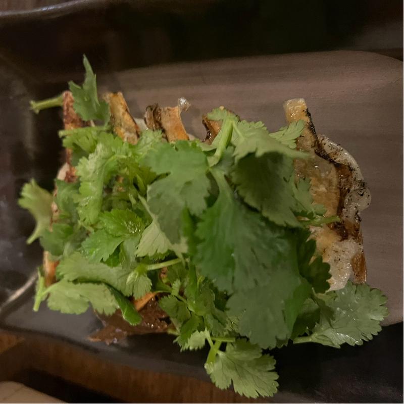 パクチー餃子(餃子番長 炎のもつ家 甚助 )