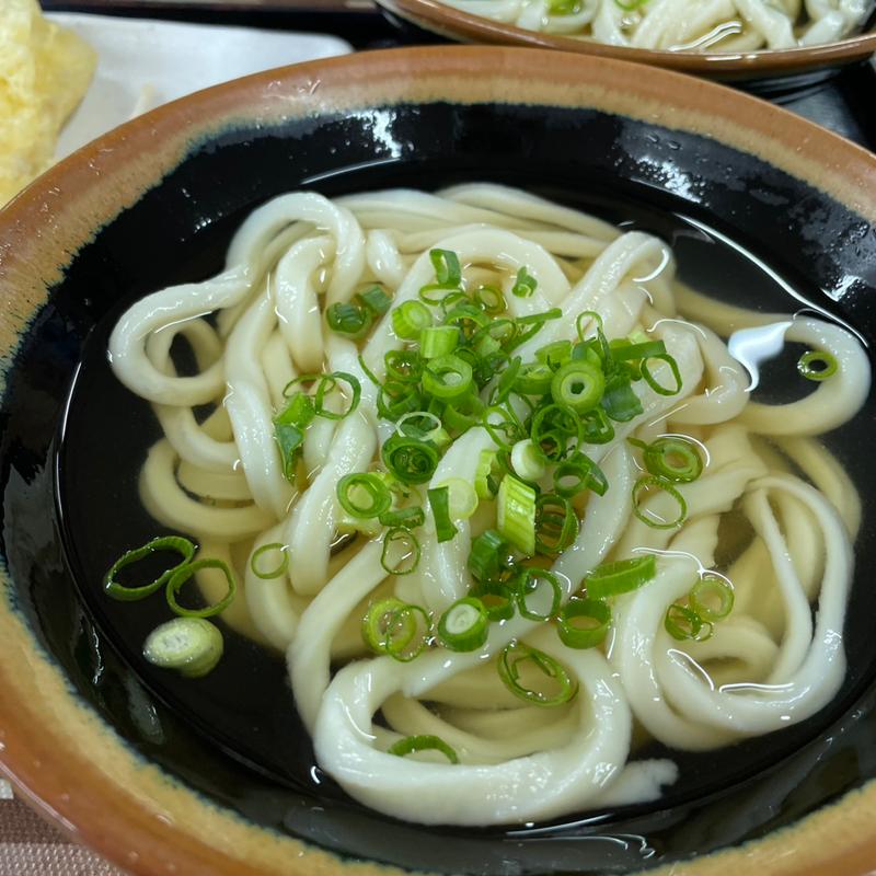 かけ冷　小(白川うどん （しらかわうどん）)