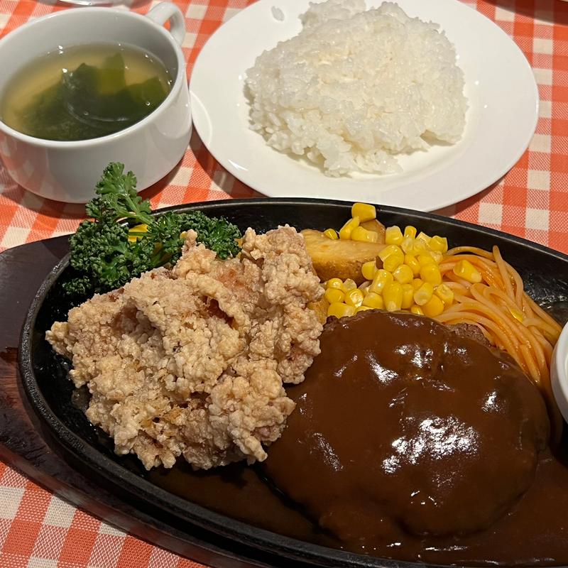 ハンバーグと山賊焼き(どんぐり )