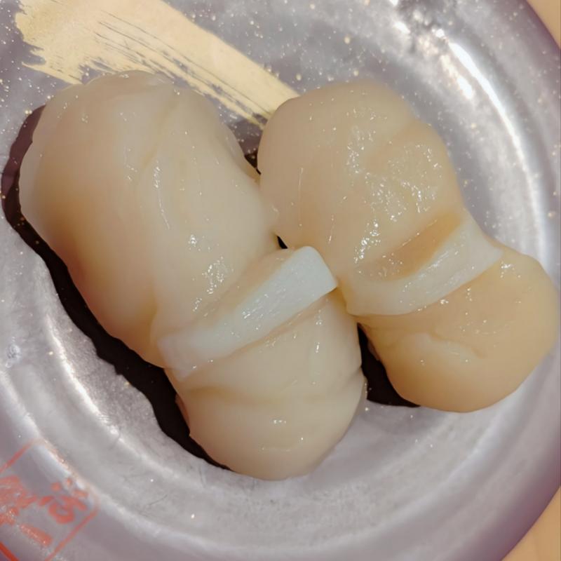 道内産  ほたて(回転すし 活一鮮 南３条店)