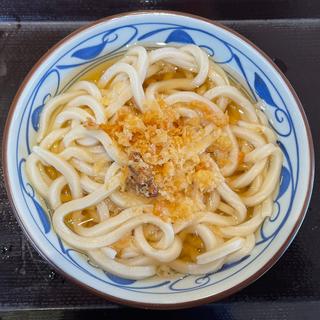 かけうどん（大盛）(丸亀製麺晴海トリトン)