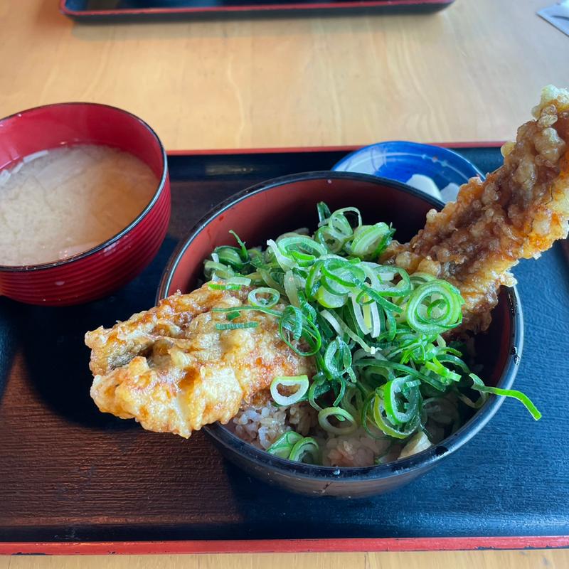 穴子丼(イルカ)