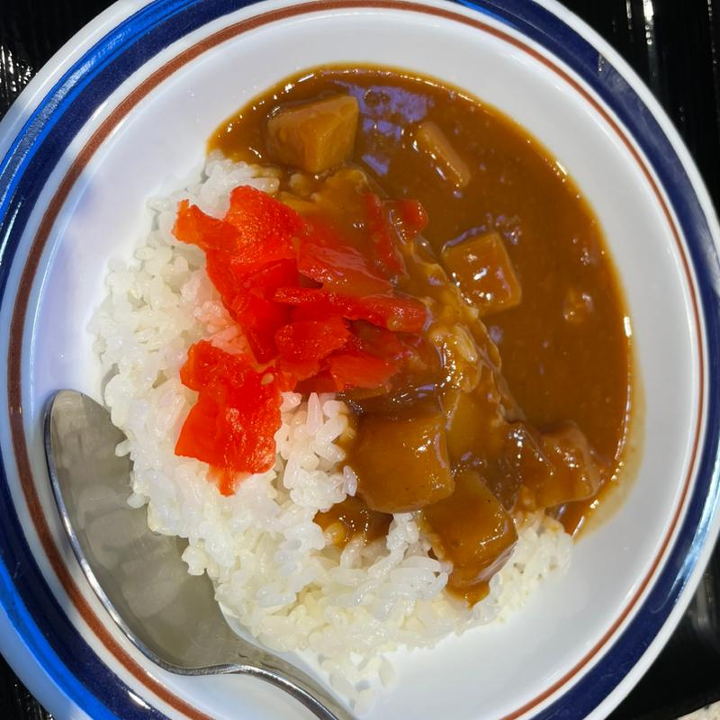 ミニカレー(名代 富士そば 神楽坂店)