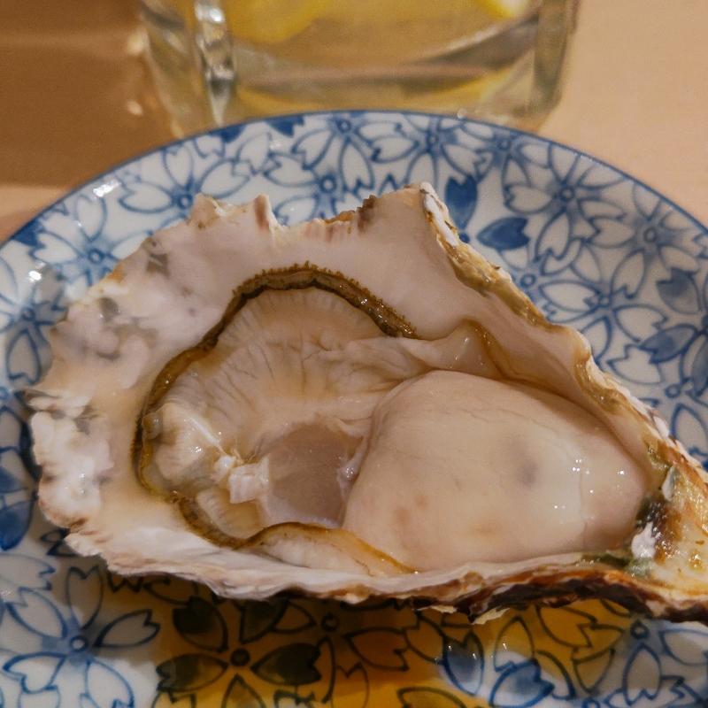 真牡蠣(貝 刺身専門店 しらはら )