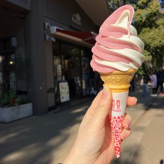 ソフトクリーム（バニラ・巨峰ミックス）