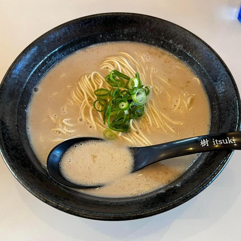 かけ鶏白湯麺(鶏白湯麺 樹)
