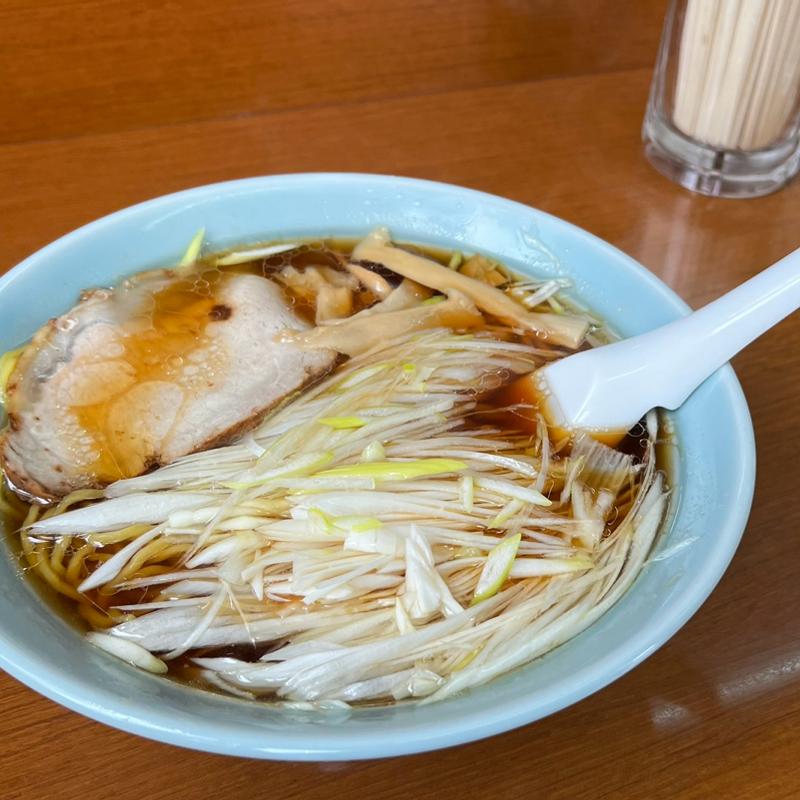 ネギラーメン(ラーメンのと金 )