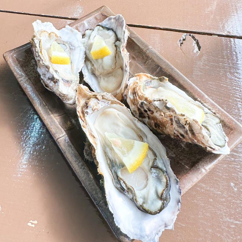 生牡蠣(かき太郎 )
