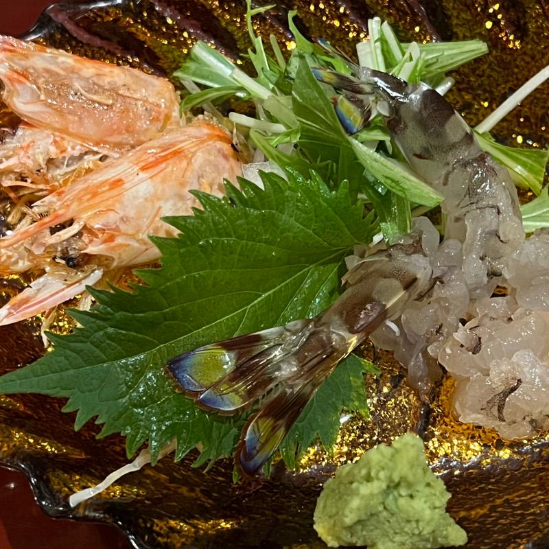 活車海老お造り(活魚居酒屋 マルフク)