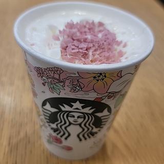 花見 さくら クリーム

(スターバックス)