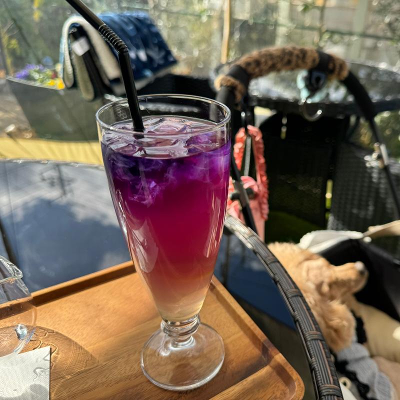 (Cafe＆Dining イリオン)