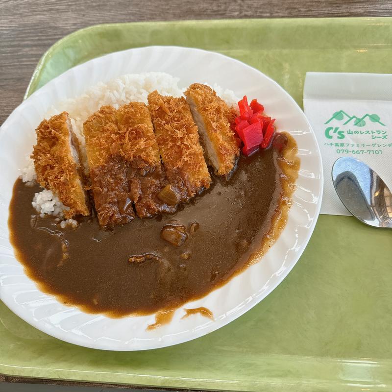 カツカレー(山のレストランC's)