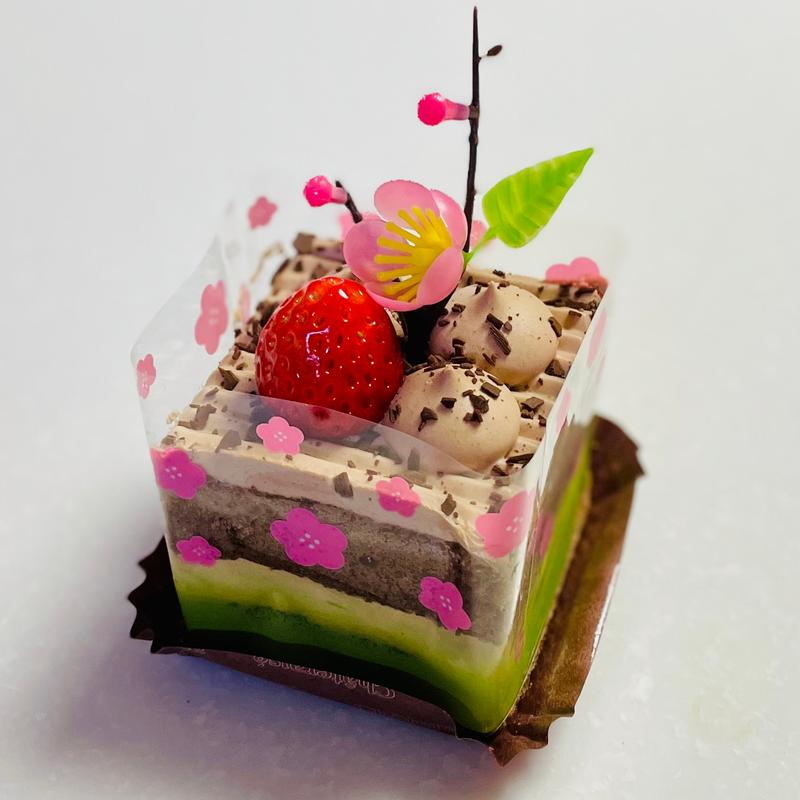 桃の節句　チョコショート(シャトレーゼ イトーヨーカドー和光店)
