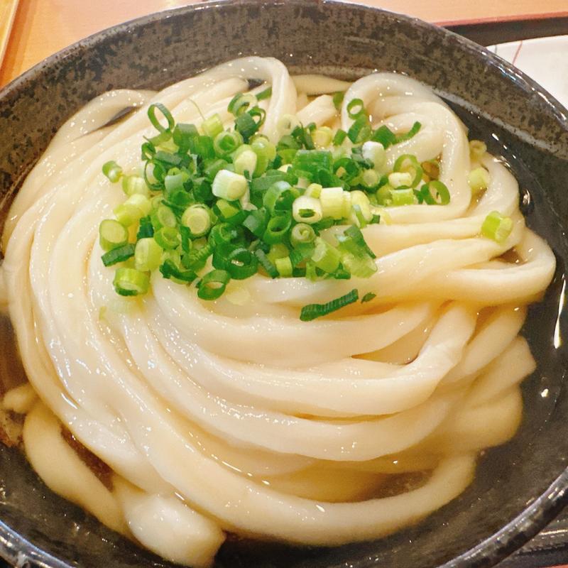 ひやかけうどん（2玉）(讃岐うどん 條辺)