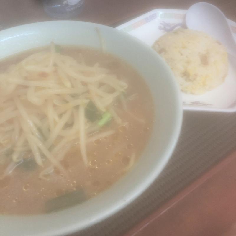 半チャーハンセット(餃子本館)