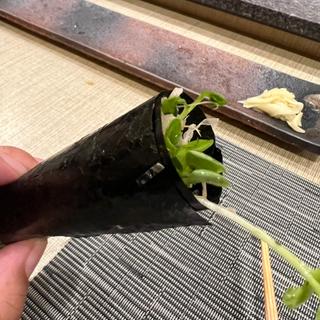 貝割れ 手巻き寿司(つづみ )