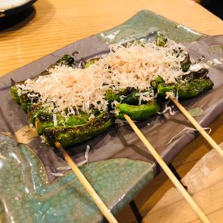 ししとう(焼鳥 せんみょう )