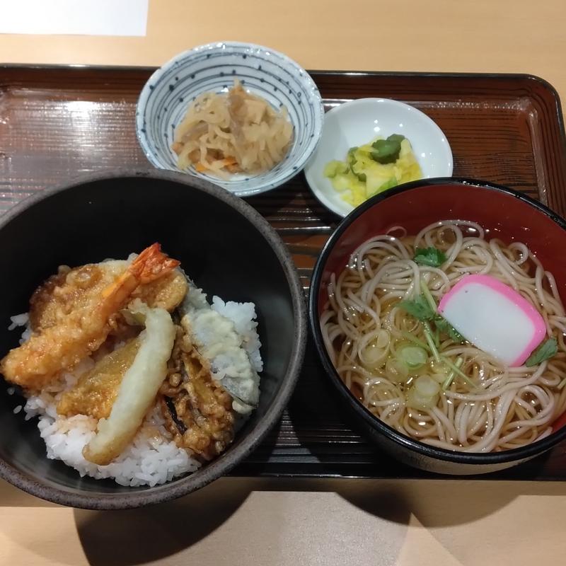 やぶ天丼(やぶ信 本店 （やぶしん）)